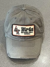 Vintage Baltimore Orioles SnapBack Hat TWINS ENTERPRISE Twins Cap Brand Est.1954