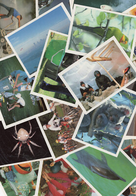 1990 WEET-BIX AUSTRALIA N/MT CARDS [EARTH QUEST] - BULK LOT TO COMPLETE YOUR SET