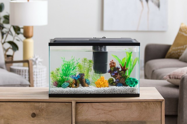 10 gallon aquarium hood light