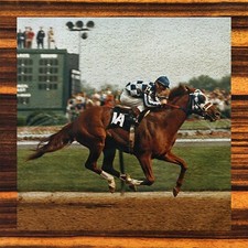 Secretariat - Washcloths NEW Collectors Set of 4