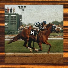 Secretariat - Washcloths NEW Collectors Set of 4