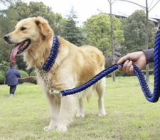 leash and collar for a dog Color Black Blue