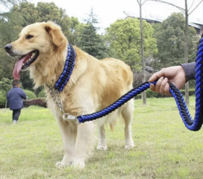 leash and collar for a dog  Color Black+Blue
