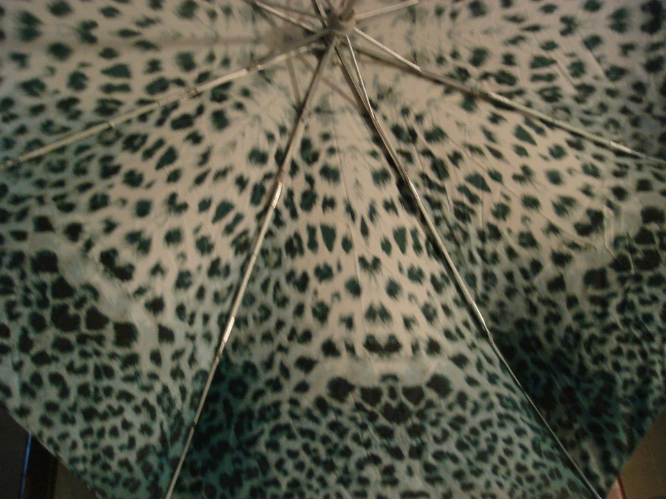 Paraguas Fulton Foto 4 de 4