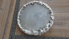 Bild 12 von 12