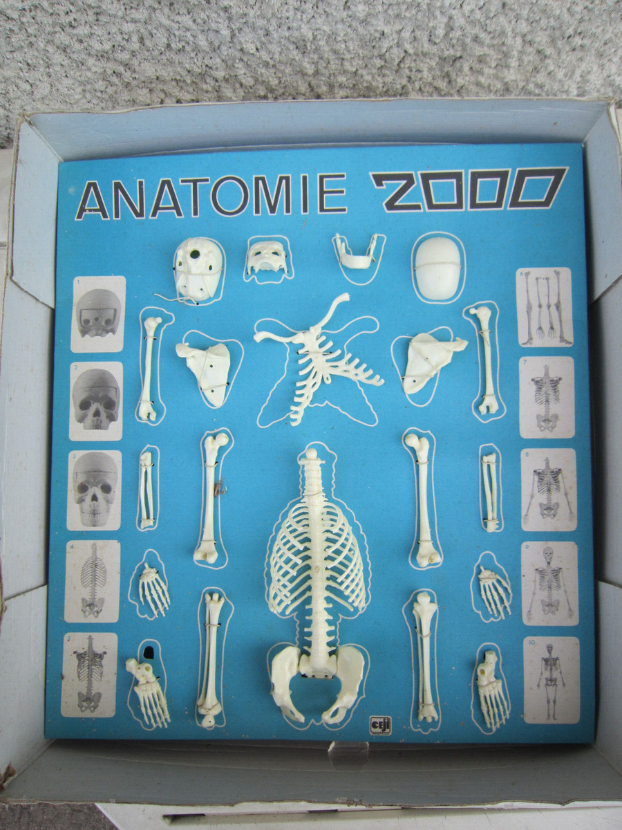 Coffret Anatomie 2000 - Céji - Jeu éducatif Corps Humain - Occasion