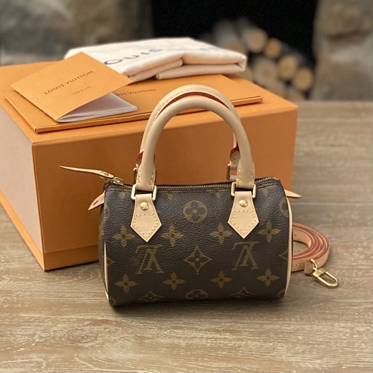 monogram mini speedy