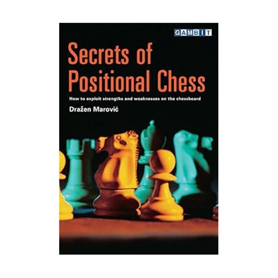 Gambit Reference Book Secrets of Positional Chess  VG+