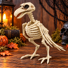 Skeleton Of Small Bird Or Crow Halloween Decor/Prop Posable