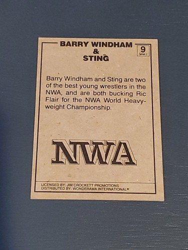 STING 1987 NWA WONDERAMA TEST MARKET BROWN BACK ROOKIE CARD Rare #9 Short Print - Picture 4 of 5