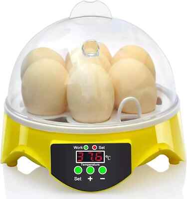 Mini Incubadora De Huevos Automatica Maquina Para Incubar Egg Pollo Gallina Pato
