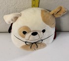 Original Squishmallows 8" Brock The Vampire Bulldog Plush Halloween Squad Used — photo 3