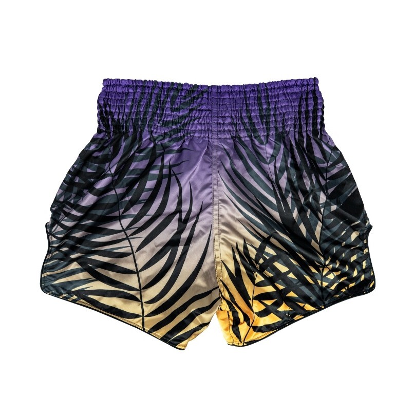 Fairtex Shorts Sports Muay Thai MMA Kick Boxing BS1941 Dawn | eBay