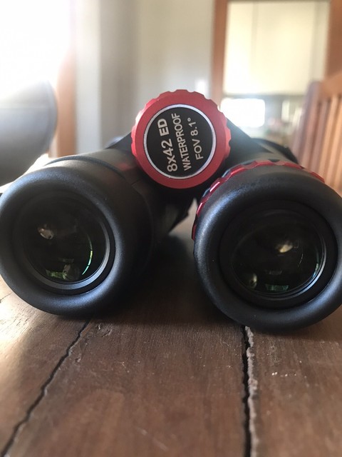 viking peregrine 8x42