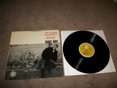 Dave Ray Dave Snaker Ray Snaker's Here LP 1965  VG+ VINYL