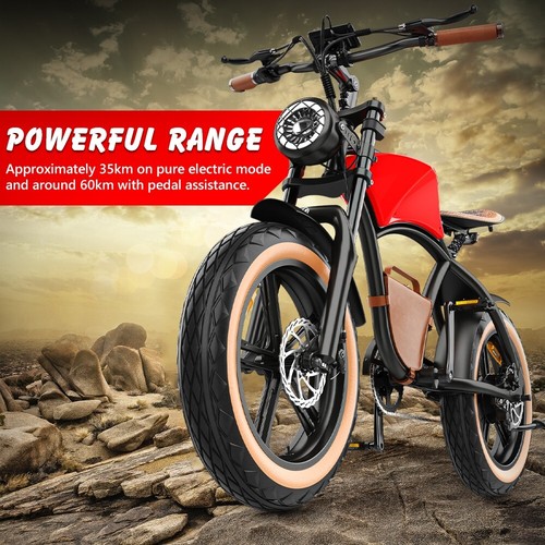 Hidoes B10 20" Fat Tire E-Bike E-Mountain Bike 100OW motor 48V 13Ah battery - Picture 7 of 23