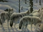 Bild 6 von 8
