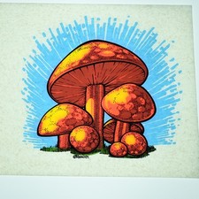 Original VINTAGE 1970s Heat Transfer  Mushrooms  Iron On