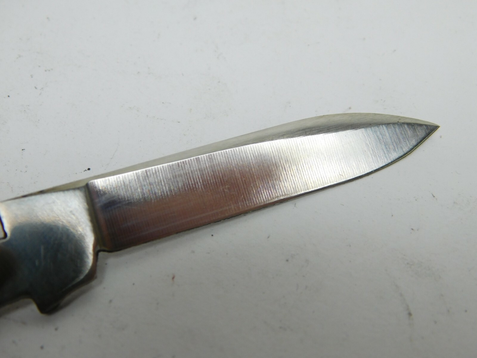 Replacement #31 Pen Blade Queen Cutlery Large Congress Folding Knife QC