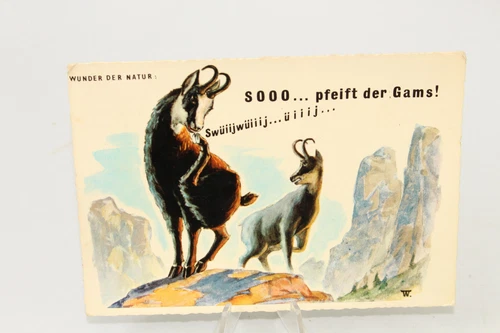 JB1449: Wonders Of Nature Soo Whistles Die Chamois Semmering 1960