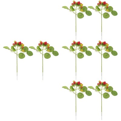 Set of 4 Topfpflanze Mit Wildfrüchten Granatapfel Entsafter Presse