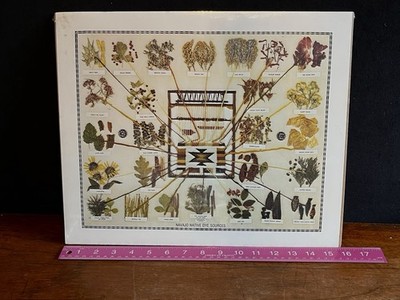 NAVAJO NATIVE DYE SOURCES Poster 3D Chart Vintage Still In Wrap Looks 3D