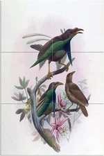 Tropical bird of paradise D. Elliot Tile Mural Kitchen Backsplash Marble Ceramic