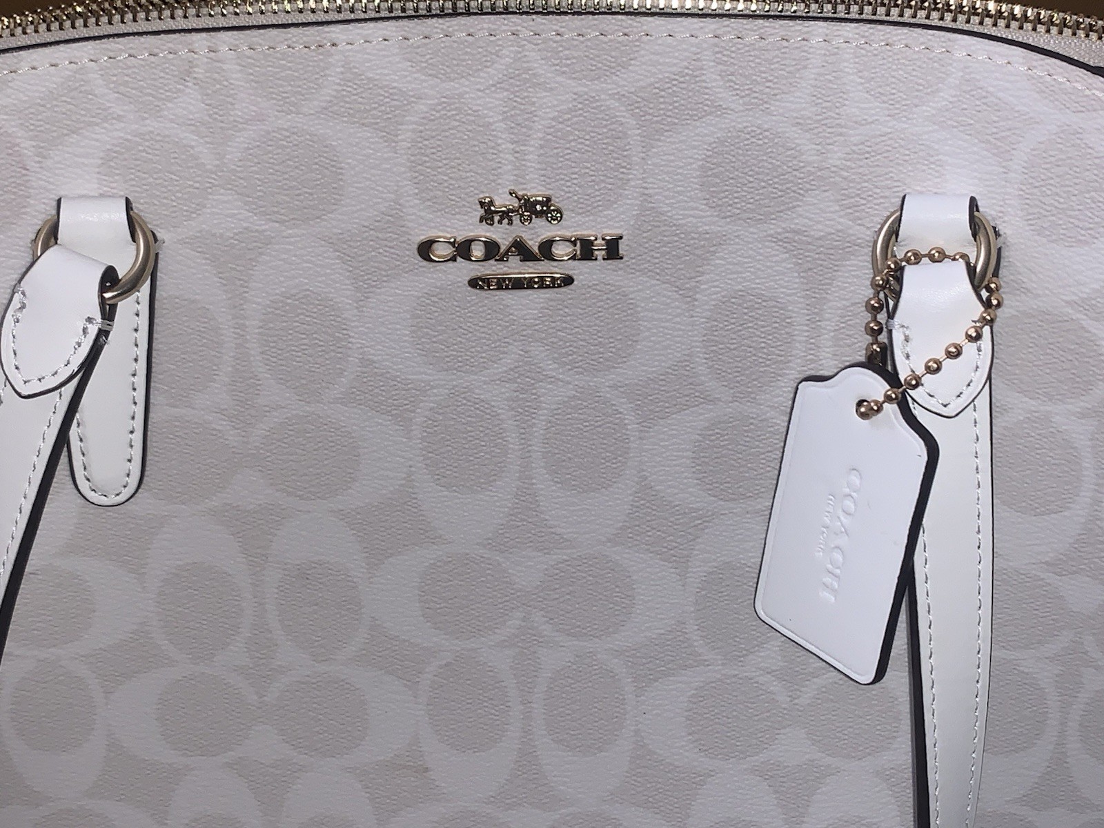 Coach Signature Leather Tote Bags for Women