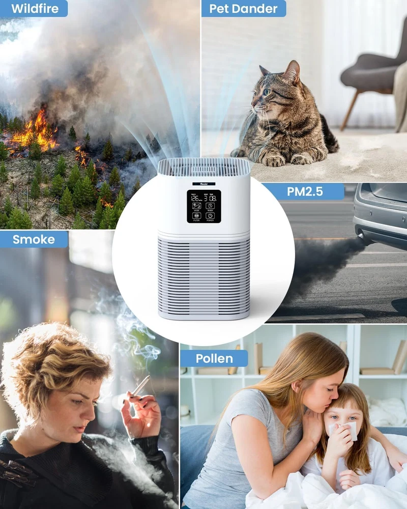 Air Purifier for Large Rooms HEPA Filter For Pet Dander Wildfire Odor Removal