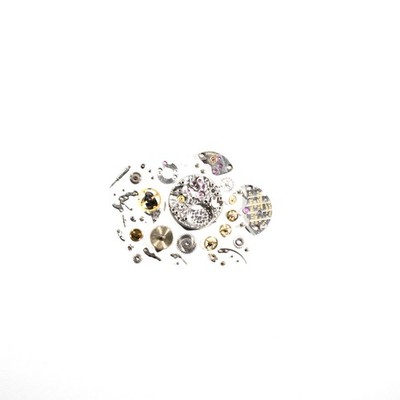 Patek Philippe 13,5 320 - Teile