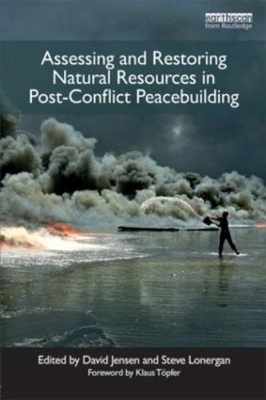 #ad Klaus Töpfer Assessing and Restoring Natural Resources I Paperback UK IMPORT $178.69