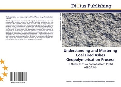 Understanding and Mastering Coal Fired Ashes Geopolymerisation Process European 