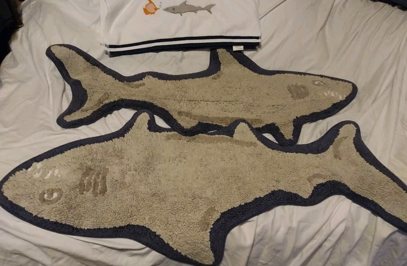 Picture 3 of 21