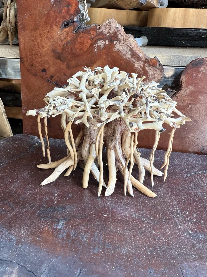 Driftwood bonsai tree aquarium wood aquascape drift wood fish tank plants - Image 3 of 4