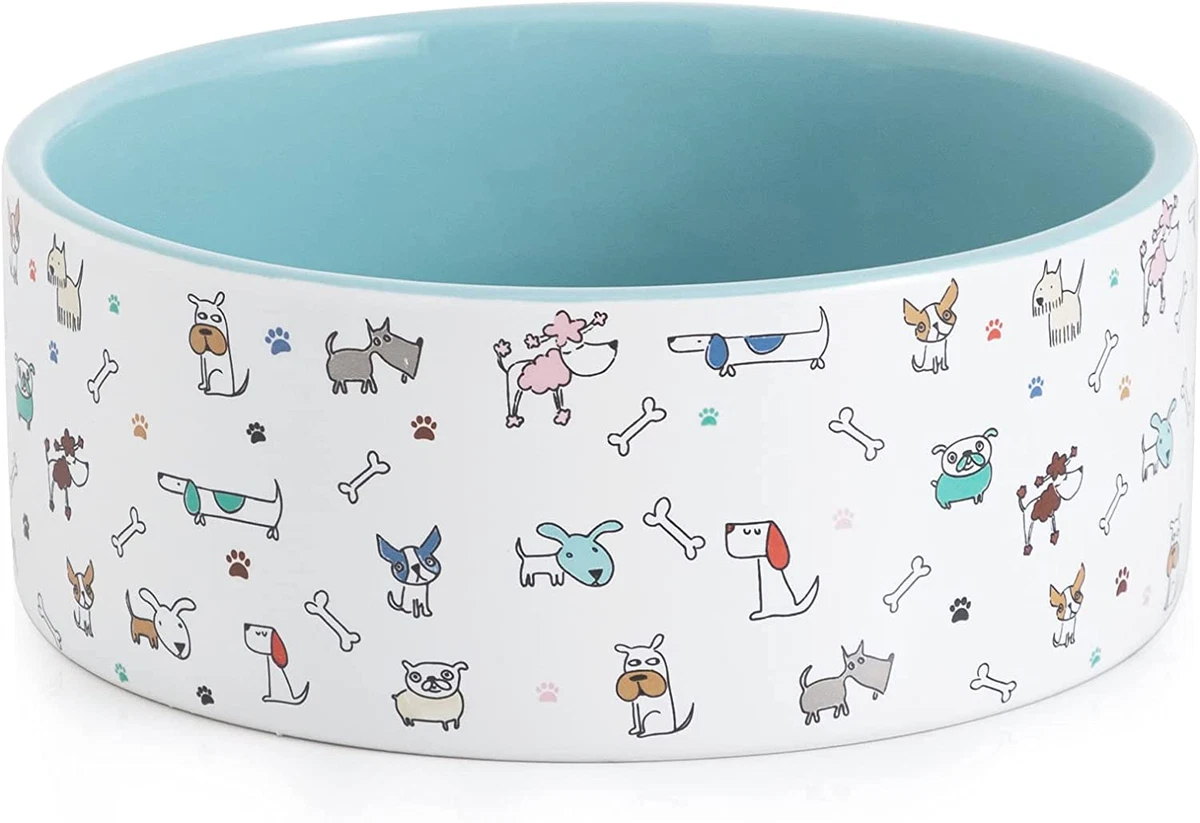 Ceramic water top bowl dog