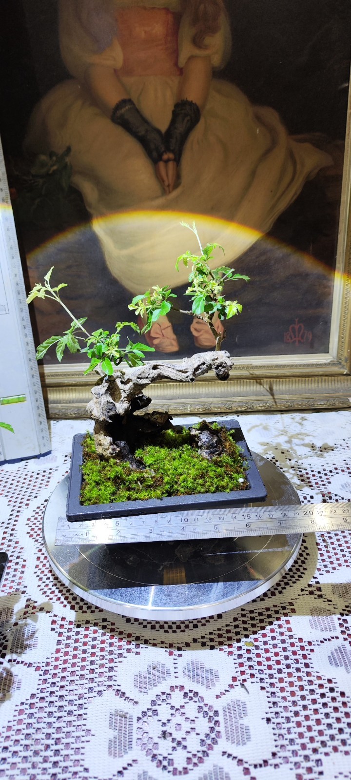 Picture 1 of 8