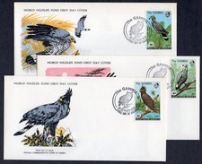 WWF ANIMALI DELLA FAUNA RAPACI 1978 GAMBIA 3 FDC