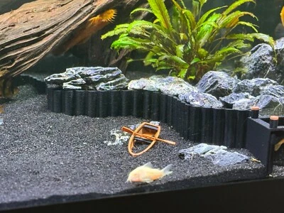 LIFEWITHPETS Flexi Wall Aquarium Substrate Divider Two Sizes Two Colors You Choose the Shape