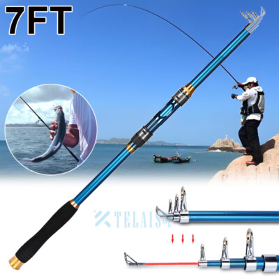 Telescopic Collapsible Fishing Rod Extendable Fishing Pole for Saltwater  Freshwa | eBay