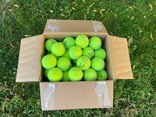 100 Used Tennis Balls Great for Dogs, Practice Crafts - FREE SHIPPING