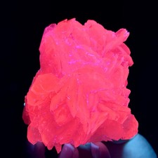 306G Natural Rose Petal Calcite Mineral Specimen/Fluorescent Glow Under UV Light