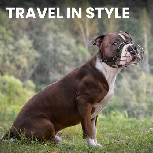 BRONZEDOG Pitbull Dog Muzzle Breathable Metal Basket for one size, Black  - Bild 6 von 7