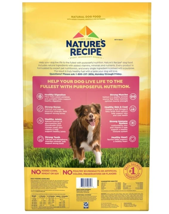 Nature’s Recipe comida seca para perros sin granos de salmón, batata y calabaza, 24 lb Foto 4 de 4