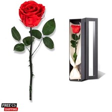 Flowers for Delivery Prime, Preserved Roses Flower Gifts for Women, Real Rose...