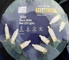 Home Accents 300 Count Warm White Super Bright Steady Lit Mini LED Lights