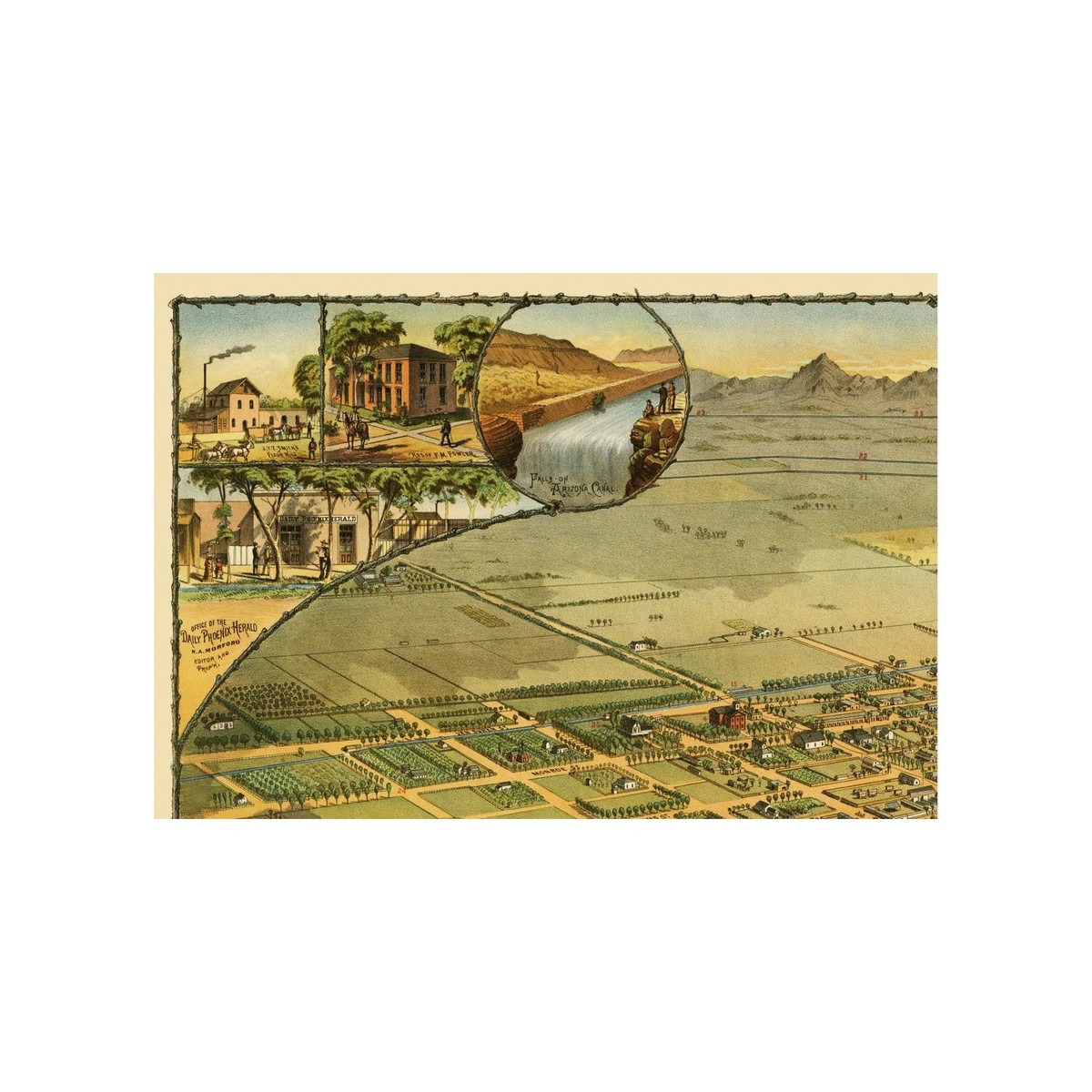 Historic Panoramic View - Phoenix Arizona - Schmidt 1885 - Vintage Wall Art View 2