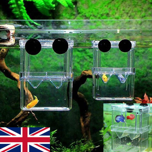 1x Fish Breeding Box Shrimp Hatchery Fish Tank Incubator UK Aquarium Tool UK
