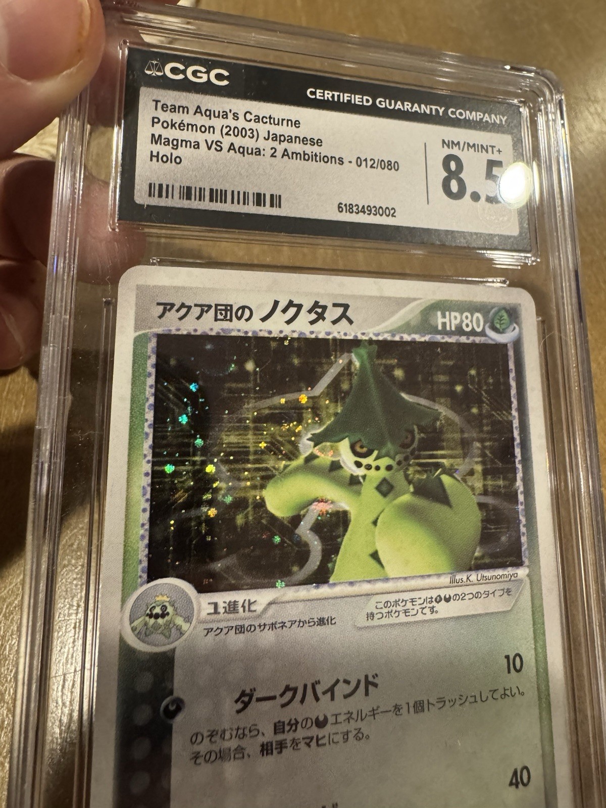 Team Aqua’s Cacturne CGC 8.5 POP 2  2003 Japanese Swirl 📈 Unlimited - 12/80