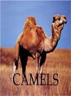 Camels Hardcover Jenny Markert