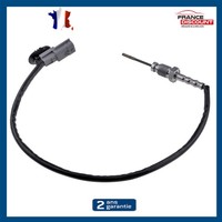 Sonde Temperatur- Auspuff FüR Renault Espace V Grand Scenic Iv 1.6 Dci 160